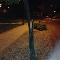 58378789_1011011515764949_1026903174117588992_n.jpg